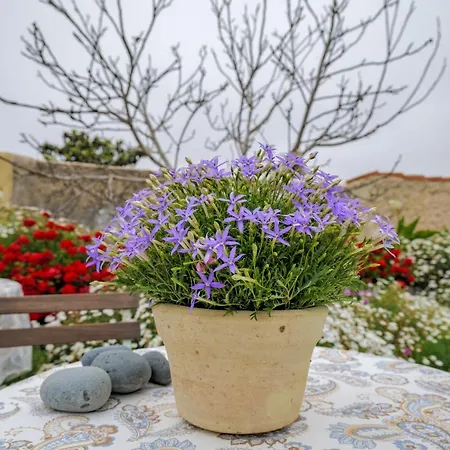 Tatil Evi Casa Leandra Con Jacuzzi *