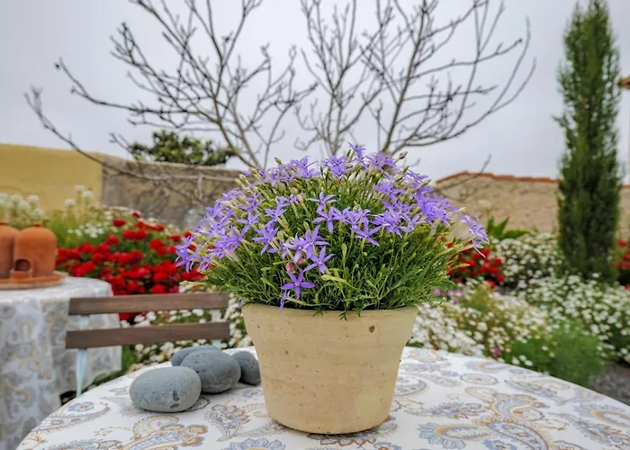 別荘 Casa Leandra Con Jacuzzi *