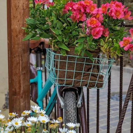 Casa Leandra Con Jacuzzi * 아데제