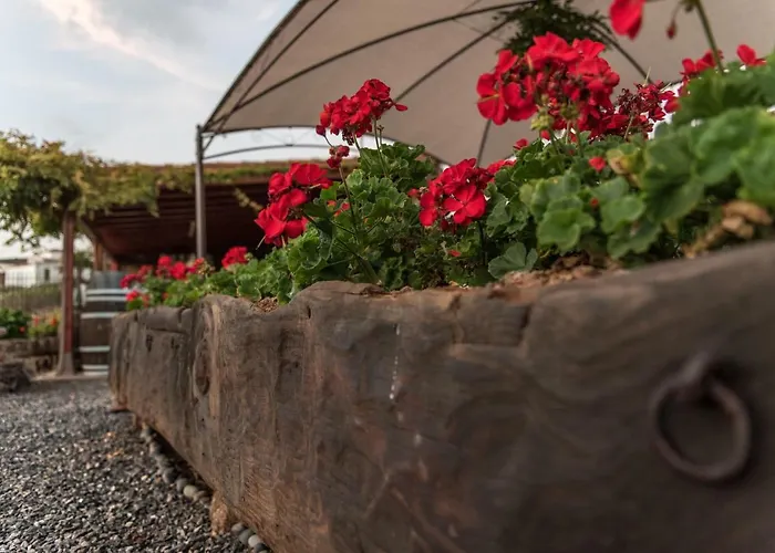 Casa Leandra Con Jacuzzi Holiday home